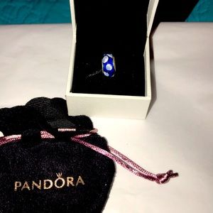 Nice Pandora Charm With Velvet Pandora Pouch